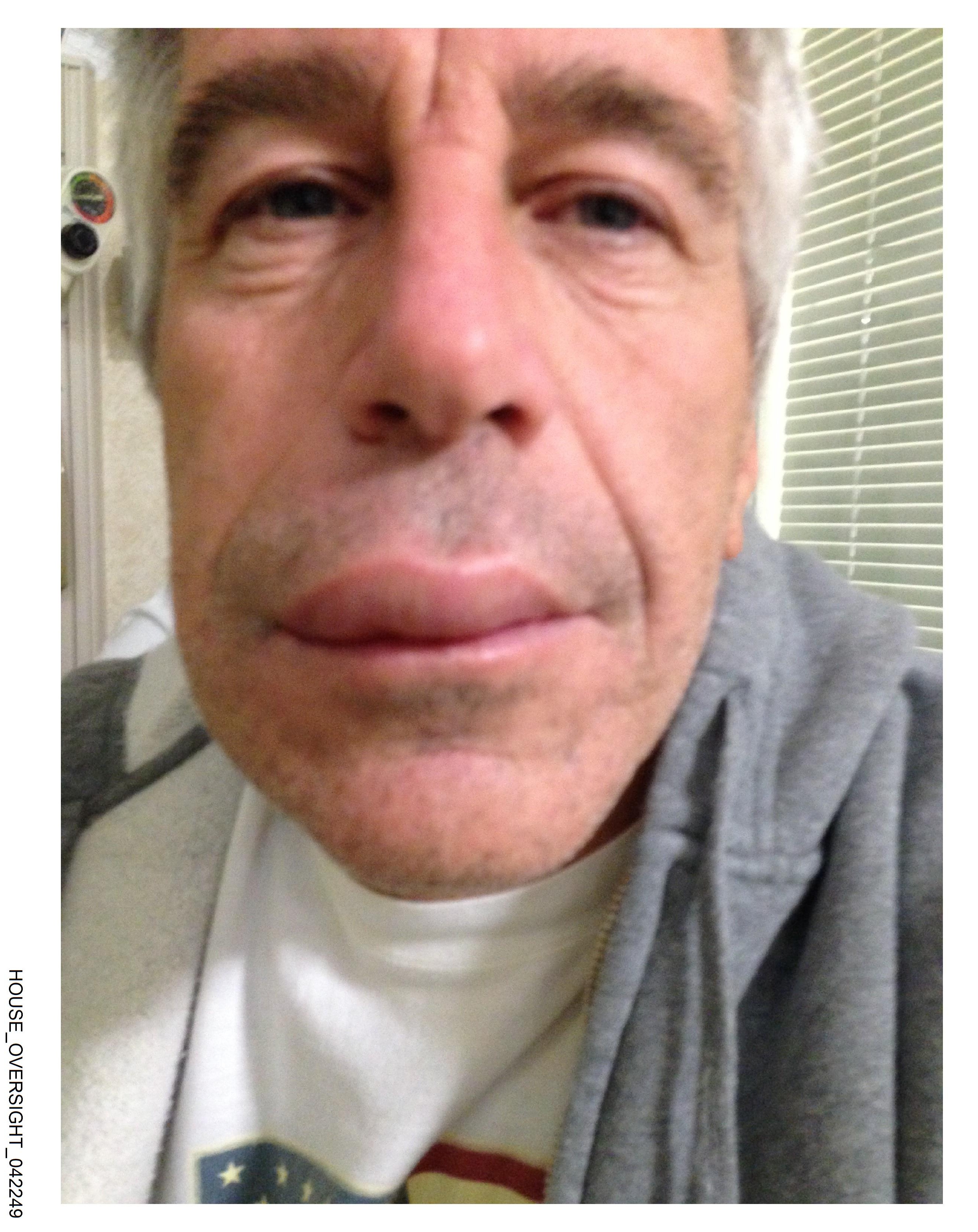 Jeffrey Epstein selfie
